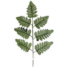LIST RUMORA 40CM - FLORASYSTEM