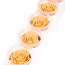 Ruža preparovaná 6,5cm PERFECT PEACH /ks - FLORASYSTEM