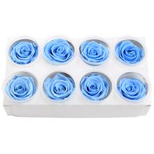 Ruža preparovaná 5cm BABY BLUE /ks - FLORASYSTEM