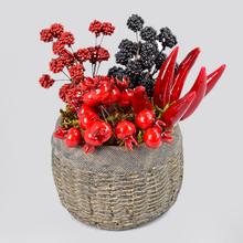 Plody jesenné - aranžérsky materiál | FLORASYSTEM