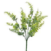 ZÁPICH PAPRAĎ ZELENÁ 40CM - FLORASYSTEM