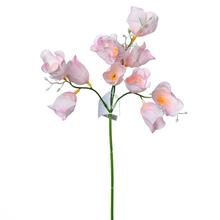 KS ZVONČEK RUŽ. 35CM - FLORASYSTEM