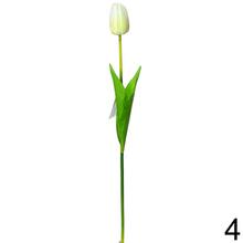 KS TULIPÁN 6F 55cm - Foto4