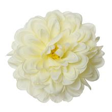 HLAVA DAHLIA KRÉM P:10CM BAL:12KS - FLORASYSTEM