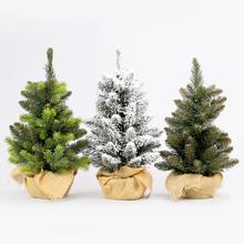 Stromčeky zaťažené - Stromčeky vianočné | FLORASYSTEM