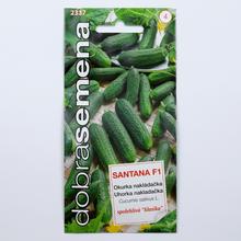 UHORKA NAKLADAČKA SANTANA 1,5g - FLORASYSTEM