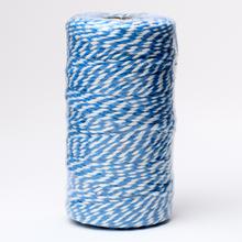 ŠNÚRKA FARBY  2MMX100M TYRKYS/BIELA - FLORASYSTEM