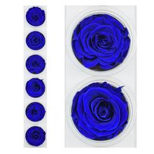 Ruža preparovaná 6,5cm OCEAN BLUE /ks - FLORASYSTEM