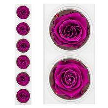 Ruža preparovaná 6,5cm VELVET PLUM /ks - bal. 6 ks - FLORASYSTEM