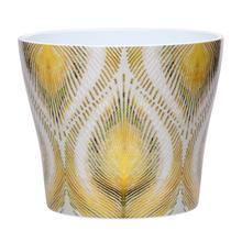 AKCIA 63005 OBAL PEACOCK YELLOW 808/13 - FLORASYSTEM