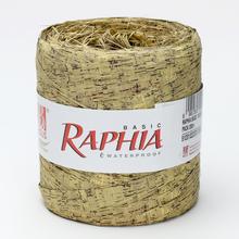RAPHIA KOROK 200m *8256 - FLORASYSTEM