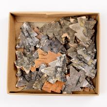 STROM KORA 4,3x4CM - FLORASYSTEM