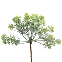 ZÁPICH ZELEŇ 16CM - FLORASYSTEM