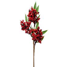 KONÁR BOBULE ČER. 40CM SUPER CENA!  - FLORASYSTEM