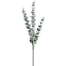 ZÁPICH EUCALYPT TM.ZELENÝ 77CM SUPER CENA! - FLORASYSTEM