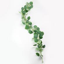 ZELEŇ ŤAHAČKA EUKALYPT 120CM - FLORASYSTEM