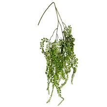 ŤAHAČKA VÄČŠIE LISTY TM.ZEL.116CM - FLORASYSTEM