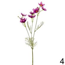 KS COSMOS 5F 57cm - Foto4