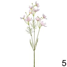 KS COSMOS 5F 57cm - Foto5