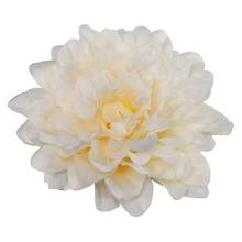 HLAVA DHALIA KRÉM P:10CM BAL:24KS - FLORASYSTEM