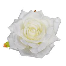 HLAVA RUŽA BIELA P:9CM BAL:24KS - FLORASYSTEM