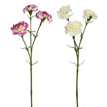 KS KARAFIÁT 60cm 2F - FLORASYSTEM