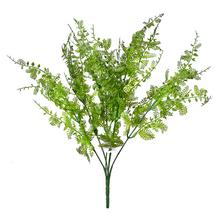 ZÁPICH PAPRAĎ ZELENÁ 40CM - FLORASYSTEM