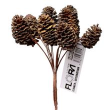 ŠIŠKY ZVäZOK S/6 12cm - FLORASYSTEM