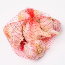Cesnak GERMIDOUR JESENNÝ 4ks +/-250g - FLORASYSTEM