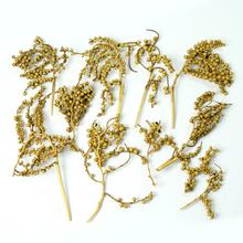 T140 CANELLA - FLORASYSTEM