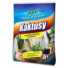 KAKTUSY 5L /250/ NÍZKA CENA !!! - Foto0