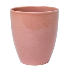 65502 OBAL ORCH. ROSEA 620/15 - FLORASYSTEM