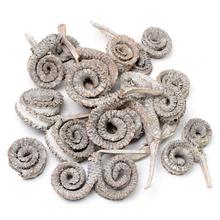 Sušené palmové krúžky v balení 10 kusov.