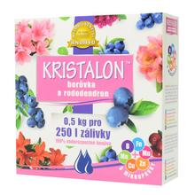 KRISTALON ČUČORIEDKY A RODODENDRÓNY 500g - FLORASYSTEM