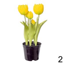 TULIPÁNY V ČREPNÍKU X5 3F 24cm - Foto1