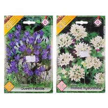 TRITELEIA - FLORASYSTEM