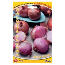Cibuľa ŠALOTKA - Red Sun 100g - FLORASYSTEM