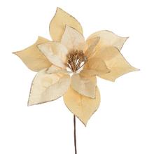 VIAN. RUŽA/ POINSETIA KRÉMOVO-ZLATÁ 20CM - FLORASYSTEM