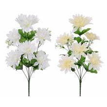 KYTICA DAHLIA 2F 50cm   - FLORASYSTEM