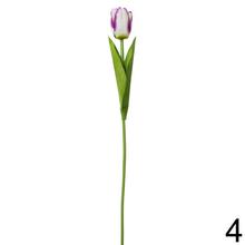 KS TULIPÁN 6F 48cm - Foto4