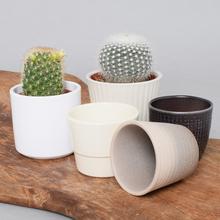 Obal kaktus - keramika a iný materiál | FLORASYSTEM