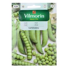 HRACH Z KELV. 40g - FLORASYSTEM