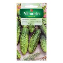 UHORKA SIATA REGINA F1 5g - FLORASYSTEM