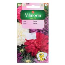 ASTROVKA ČÍNSKA ZMES 1G - FLORASYSTEM