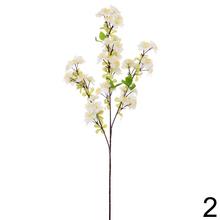 Konár čerešne mix s ružovými a bielymi kvetmi.