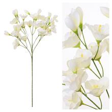 KYTICA JARNÁ BIELA LISIANT 76CM - FLORASYSTEM