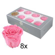 Ruža preparovaná 5cm BABY PINK /ks - bal. 8 ks - FLORASYSTEM