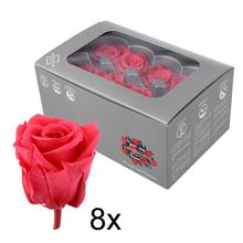 Ruža preparovaná 4cm DARK PINK /ks - bal. 8 ks - FLORASYSTEM