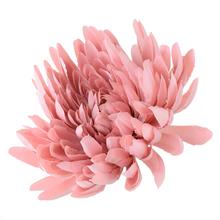 HLAVA CHRYZANTÉMA ST.RUŽOVÁ 15CM BAL:12KS - FLORASYSTEM