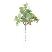 ZÁPICH EUKALYPT ZELENÝ 22cm /zväzok 6ks/ - FLORASYSTEM
